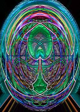 The Brain